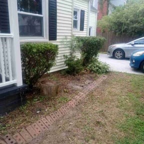 Bush Trimming by LOCAL Landscaping & Lawn Maintenance reviewed on November 2, 2023