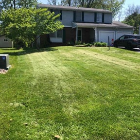 Cleanups by Armstrong's Lawn Care Plus reviewed on July 8, 2022