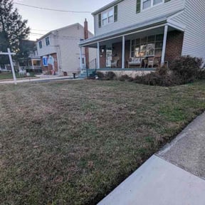 Leaf Removal by B&S Lawn Care reviewed on June 27, 2020