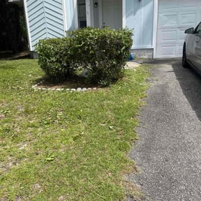 Bush Trimming by MiyServices Lawncare, Tree Removal and Construction reviewed on August 23, 2024