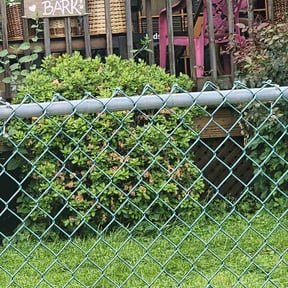 Bush Trimming by Klvyardcare reviewed on March 25, 2022