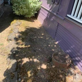 Weeding by Complete Lawn Care reviewed on November 25, 2024