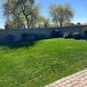 Weeding by Cre8tive Art's Work LLC Lawn Care & Property Preservation reviewed on July 7, 2020