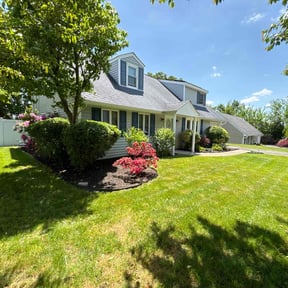 Leaf Removal by A1 America Landscaping reviewed on October 21, 2024