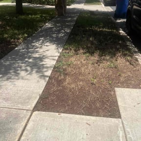 Leaf Removal by Clean Cut Lawn Service reviewed on August 9, 2025