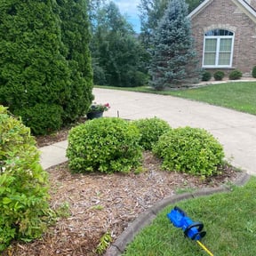 Bush Trimming by Garrison Lawn Care and Maintenance reviewed on June 13, 2025