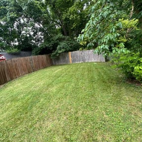 Bush Trimming by Legacy landscape llc reviewed on November 24, 2024