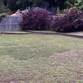 Cleanups by Mckinneys Lawn & Tree Care reviewed on October 24, 2021