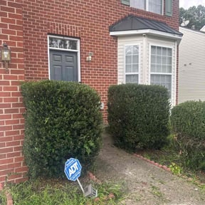 Bush Trimming by TNT landscaping & Lawncare llc reviewed on October 10, 2024