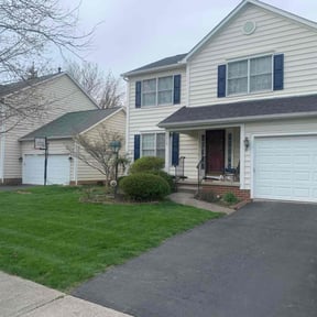 Bush Trimming by WLQ Solutions reviewed on May 25, 2022