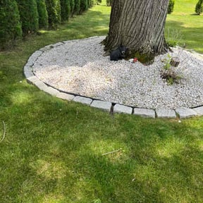 Flower Bed Weeding by Var Landscape reviewed on June 3, 2022