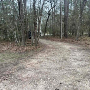 Leaf Removal by LA Lawncare Service reviewed on June 26, 2020