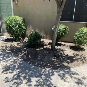 Cleanups by Reil Lawn Company LLC reviewed on July 31, 2022