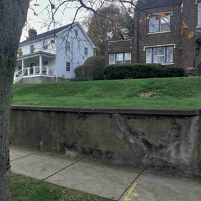 Leaf Removal by Alan's Mowing reviewed on April 8, 2022