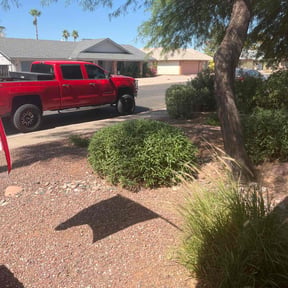 Leaf Removal by E&amp;E Landscape Services reviewed on November 15, 2024