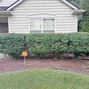 Bush Trimming by Beauty of Nature lawncare reviewed on June 25, 2022