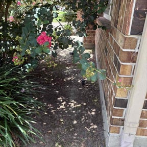Flower Bed Weeding by Landscaping by Jay reviewed on March 24, 2022
