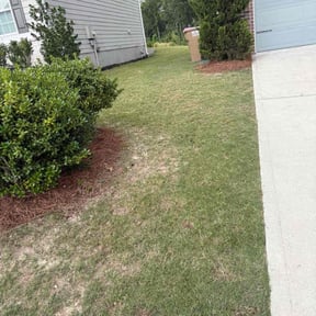 Weeding by TruGreen LawnCare reviewed on August 23, 2024