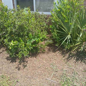 Flower Bed Weeding by P & S Property Maintenance reviewed on August 6, 2022