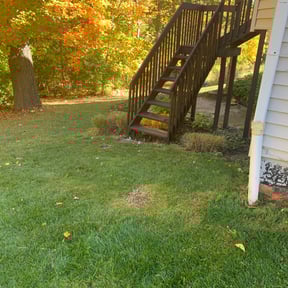 Landscaping by JR Lawn Maintenance reviewed on May 22, 2022