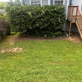 Bush Trimming by VIN LAndscaping reviewed on November 1, 2022