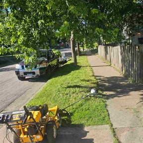 Cleanups by Green Missions Landscaping LLC reviewed on June 9, 2022