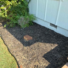 Flower Bed Weeding by LSLTDallas/FortWorthTruGreen reviewed on March 24, 2025