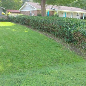 Bush Trimming by As Good As You Do It Lawn Care reviewed on July 21, 2025