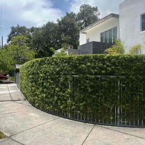 Bush Trimming by Greenview Lawn Solutions llc reviewed on March 28, 2025
