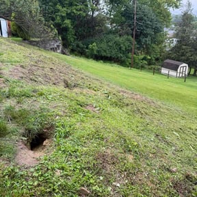 Cleanups by Corporate cuts lawn care reviewed on May 18, 2022