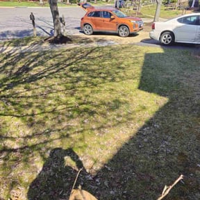 Leaf Removal by C&R Ventures reviewed on July 7, 2022