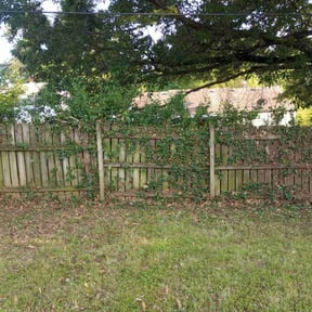 Bush Trimming by Quick Cut Lawn Care reviewed on April 26, 2025