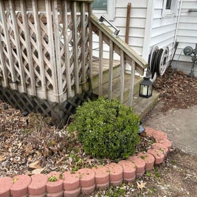 Bush Trimming by Alfaro’s Lawncare reviewed on May 4, 2022