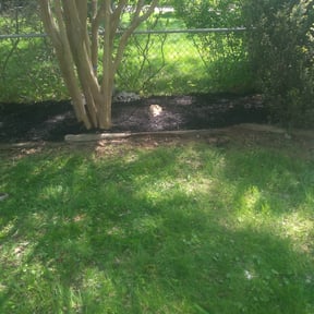 Landscaping by GreenCut Lawn Care reviewed on April 20, 2025