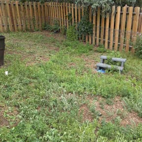 Weeding by Fischer &amp; Sons Lawn Services reviewed on June 18, 2024