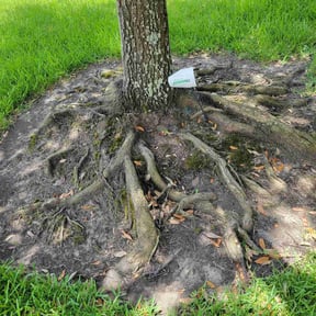 Flower Bed Weeding by New direction landscaping reviewed on April 15, 2022