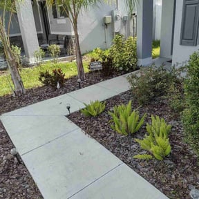 Bush Trimming by BBCNP Services reviewed on January 15, 2025