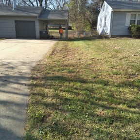 Leaf Removal by Stand lawn care Services reviewed on April 28, 2025
