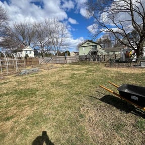 Cleanups by Blessed Lawn Care Services & Odd Jobs reviewed on May 19, 2022