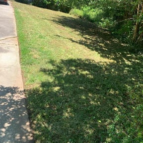 Bush Trimming by Yard-ache reviewed on April 11, 2025