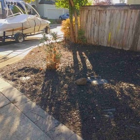 Bush Trimming by ALC Landscaping reviewed on April 29, 2022