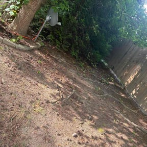 Cleanups by Electric Mowing reviewed on March 31, 2025