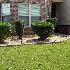 Bush Trimming by Metamorphosis Landscaping reviewed on June 9, 2025