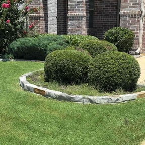 Bush Trimming by Grass Godz reviewed on June 22, 2022