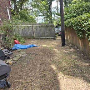 Bush Trimming by Odd.jobz landscaping solution reviewed on August 12, 2025