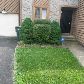 Bush Trimming by DTE Maintenance Llc reviewed on August 9, 2024