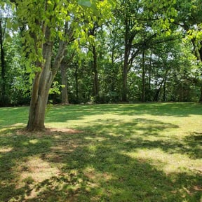 Bush Trimming by Green T's Lawn & Landscape reviewed on April 12, 2025