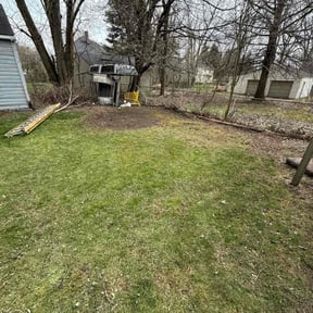 Leaf Removal by Isaiah's Custom Cutz reviewed on August 8, 2022