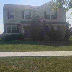 Bush Trimming by Liberty Construction and Maintenance LLC reviewed on May 2, 2025