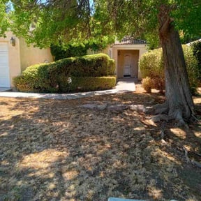 Bush Trimming by RyBo inc reviewed on November 20, 2022